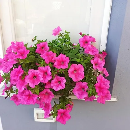 Dom wakacyjny Le Casette Di Nonna Rosa In Fontanarossa Airport *