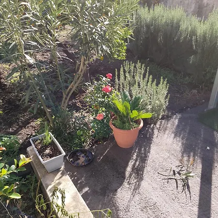 Le Casette Di Nonna Rosa In Fontanarossa Airport Catania